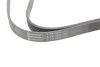 Ремінь генератора поліклиновий Contitech 6PK2030 (фото 4)