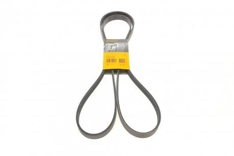 Ремінь генератора поліклиновий CONTINENTAL Contitech 6PK2310
