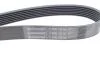 Ремінь генератора поліклиновий Contitech 7PK1516 (фото 3)
