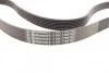 Ремінь генератора поліклиновий Contitech 7PK1795 (фото 2)