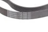 Ремінь генератора поліклиновий Contitech 7PK2080 (фото 5)