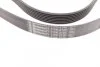 Ремінь генератора поліклиновий Contitech 7PK2120 (фото 2)