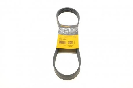 Ремінь полікліновий Contitech 7PK880