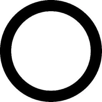 Прокладка між частинами корпусу впускного колектора VAG 1.6 AEH/AKL/AVU/BFQ/BSF (4) CORTECO 450104H