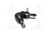 Опора кульова нижня R Toyota Camry 30 35 Highlander 01- Lexus RX330 OLD CBT-57R CTR CB0402R (фото 1)