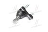 Шаровая опора GEELY EMGRAND EX-7/TAYOTA COROLLA 07-/AURIS(ZZE150)07-/RAV4 06-(Корея) CTR CBT-74 (фото 2)