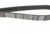 Ремінь генератора поліклиновий DAYCO 5PK1200 (фото 3)