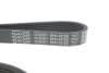 Ремінь генератора поліклиновий DAYCO 6PK1027EE (фото 4)