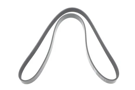 Ремінь поліклін. DAYCO 6PK1341