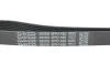 Ремінь генератора поліклиновий DAYCO 6PK1485 (фото 4)