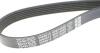 Ремінь генератора поліклиновий DAYCO 6PK1555S (фото 4)