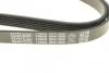 Ремень генератора 6pk 1903 Лачетти 1,8; 2,0 DAYCO 6PK1900 (фото 4)