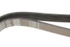 Ремінь генератора поліклиновий DAYCO 6PK2210 (фото 4)