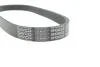 Ремінь генератора поліклиновий DAYCO 6PK803EE (фото 4)