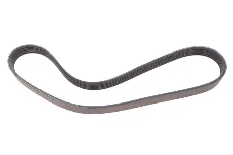 Ремінь поліклін. DAYCO 6PK875