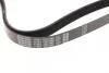 Ремінь генератора поліклиновий DAYCO 7PK1809 (фото 3)
