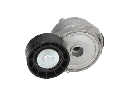 Натяжник ременя генератора DAYCO APV2556