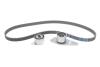 Ремкомплект ГРМ RENAULT/VOLVO 9/11/19/21/Clio/Laguna/Trafic/340-360/440/460/480 &quot;1,6-1,8 &quot;84-01 DAYCO KTB108 (фото 1)
