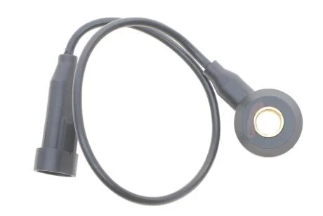 Датчик детонації Delphi AS10134-12B1