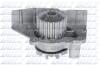 Помпа CITROEN/FIAT/HYUNDAI/ROVER/SUZUKI ZX/Ducato 15/Lantra/Boxer/218 &quot;1,8-2,1 &quot;83-12 DOLZ C117 (фото 1)