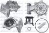 Помпа FORD Mondeo/Mondeo Estate/Wagon/Transit 350/Transit Tourneo &quot;2,0-2,4 &quot;00-07 DOLZ F149 (фото 1)