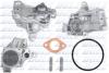 Помпа OPEL/RENAULT Movano/Master T35 &quot;2,5 &quot;97-02 DOLZ R220 (фото 1)