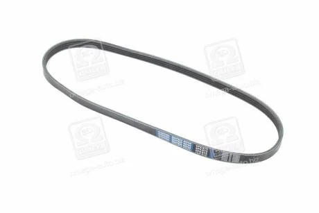 Ремінь поліклін. Dongil 4РК875