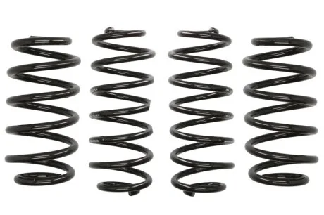 Комплект пружин підвіски EIBACH E10-15-011-01-22