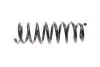 Комплект пружин підвіски EIBACH E10-20-018-01-22 (фото 4)