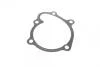 Прокладка водяний насос OPEL 1,7 1.7 CDTI A17DTJ/Z17DTJ 07- ELRING 238.460 (фото 1)