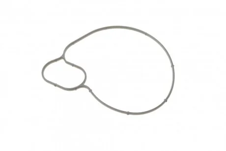 Прокладка помпи води ELRING 251.050