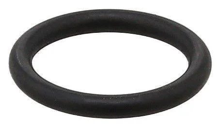 Ущільнююче кільце ELRING 255.580