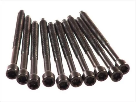 Болт головки блоку (компл.) VAG 2.0 FSI AWA/AXW/BHD/BLR/BLX/BLY/BMB/BVY/BVZ/BVX ELRING 290.440