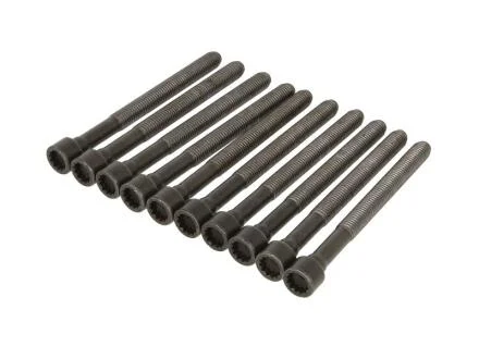 Комплект болтів головки блоку циліндрів VAG 4,2 V8 (2) 341.400 ELRING 341400