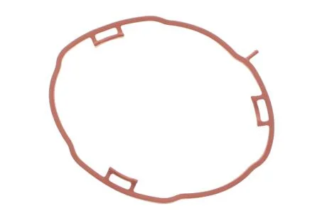 Прокладка впускний колектор 1 шт MB OM640 (4) ELRING 456.960