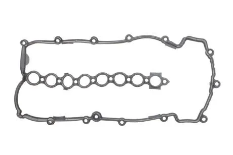Прокладка кришки клапанів ELRING 490.464
