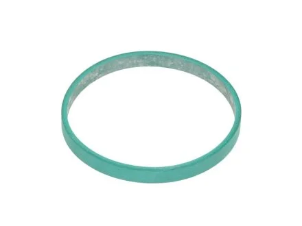 Прокладка, корпус дросельної заслінки BMW N47 C20/N57 D30 ELRING 529.970