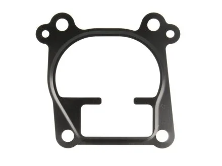 Прокладка корпусу колектора впускного ELRING 743.970