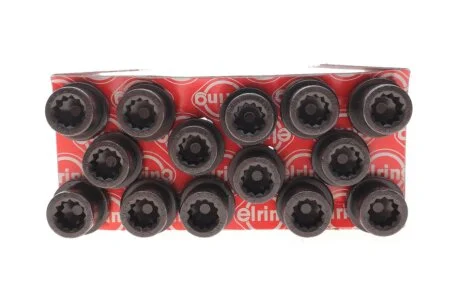 Болти головки блоку циліндрів (комплект) ELRING 819.891