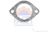 Кільце ущільнювача термостата Opel Astra h 1.7 cdti (07-14) (7.9558) Facet 79558