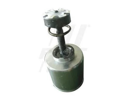 Поршень суппорта Iveco Daily (06-) задній лівий 35С 60мм FAST FT32289