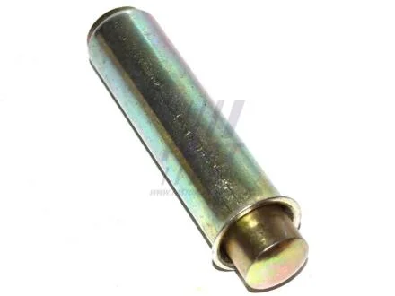 Натягувач ременя ГРМ Fiat Ducato (02-) FAST FT44081