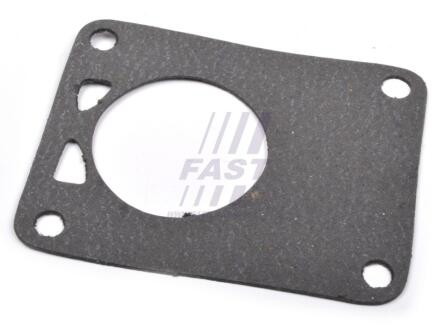 Прокладка вакуумного насоса Fiat Ducato (02-) FAST FT49901