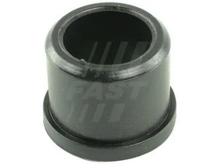 Втулка вилки зчеплення нижня ? 24mm, h 19mm Fiat Bravo, Doblo, Punto 1.4 8v-1.6 16v 94-10 FAST FT62434