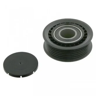 Ролик обвідний поліклінового ременя (FEBI) FEBI BILSTEIN 11273