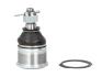 Кульова опора HONDA/ROVER Accord/Shuttle/600 &quot;F &quot;92-&quot;03 FEBI BILSTEIN 15495 (фото 1)