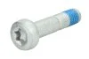 Болт (з шліцем типу Torx) FEBI BILSTEIN 24385 (фото 1)
