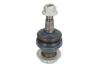 Кульова опора BMW 5(F10)/ 6(F13)/ 7(F01) "08>> FEBI BILSTEIN 45318 (фото 1)