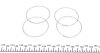 Ремкомплект супорту переднього Toyota Land Cruiser 200 (d=51mm)(Sumitomo)(+4 поршня) FRENKIT 251935 (фото 8)