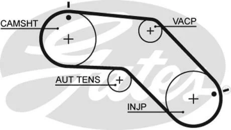 Ремінь зубч. ГРМ Z = 79 Gates 5504XS